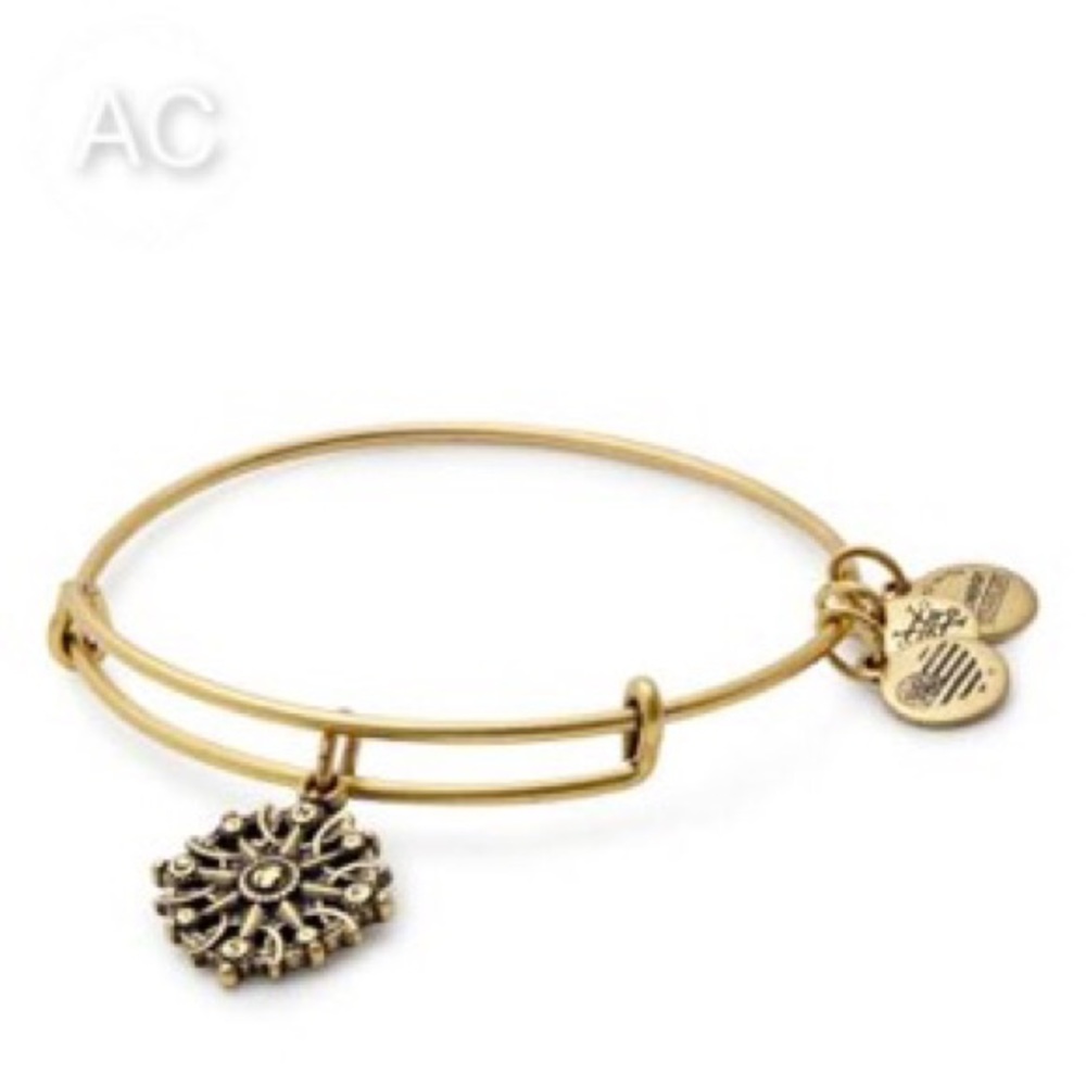 Alex & Ani Compass Charm Wire Bangle